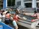 Thumbs/tn_Img_3216.jpg